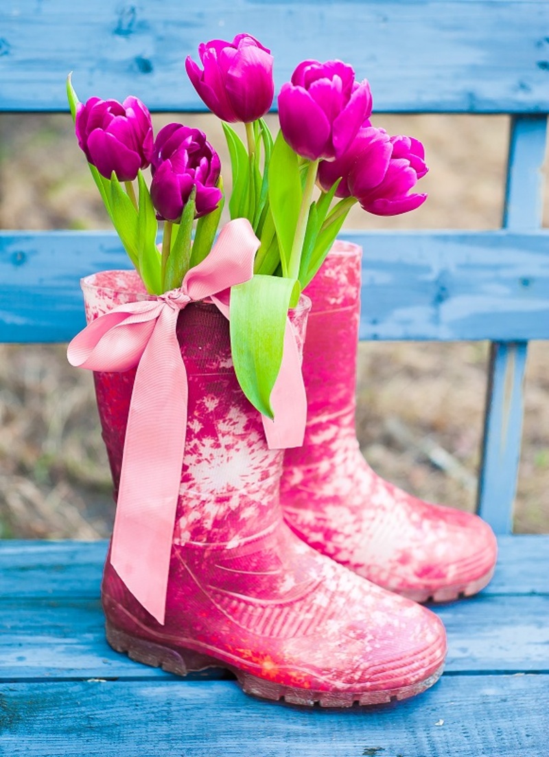 flowers  / Blue flowers flowers  / red flowers