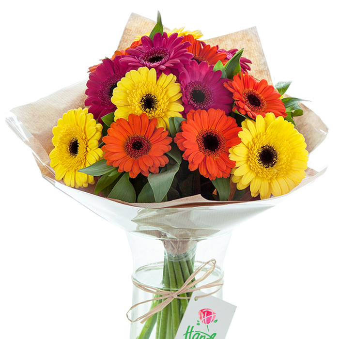 Anchored in a simple clear glass vase and illuminated by soft, natural light, this Gerbera daisy bouquet bursts with colour and festive joy reminiscent of Cranham's cheerful community events. The arrangement assembles nearly a dozen broad-petaled Gerberas-golden yellow, sunset orange, and deep fuchsia-each bloom's dark central eye creating a rich contrast and inviting closer appreciation of the intricate petal textures. The flowers crown a lush nest of deep green foliage, echoing the leafy tranquility of parks like Hall Lane's greenspace, and lending a sense of freshness that Cranham's local customers cherish. This picturesque display is wrapped in a rustic layer of light brown kraft paper, adding tactile warmth and a touch of countryside charm, while an outer sheath of clear cellophane acts as both protector and shimmering accent. Through the glass vase, expertly arranged stems drink from fresh water, their lengths perfectly aligned-a quiet testament to the meticulous care of a professional florist. A strand of earthy raffia or twine winds around the vase's neck, holding a crisp white gift tag marked with a rose emblem. The overall effect is one of balanced abundance and thoughtful artistry, ideal for welcoming new neighbors, celebrating milestones, or marking a special day in Cranham-whether on St Mary's Lane or beyond. The image captures the perennial appeal of Gerbera daisies, marrying natural beauty with the personal touch of local floristry.